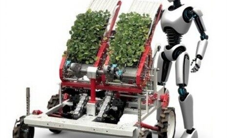 吉峰手扶式蔬菜自动移栽机