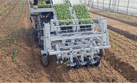 吉峰蔬菜自动移栽机器人