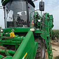 迪马飞龙玉米摘穗收获机