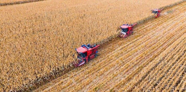 2025年玉米收获机市场深度分析:销量腰斩背后的行业变局