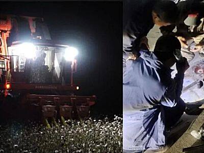 “中农机”一线服务攻坚,护航丰收彰显央企担当