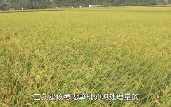 上海三久大型循环式干燥机