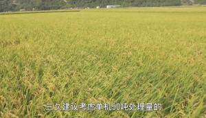 上海三久大型循环式干燥机