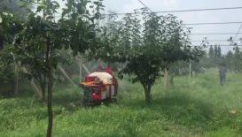 吉峰牌3WZGF-400L遥控履带式风送喷雾机（油动版）作业视频2