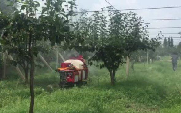 吉峰牌3WZGF-400L遥控履带式风送喷雾机(油动版)作业视频2