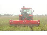 中机美诺1804马铃薯杀秧机作业视频