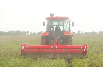 中机美诺1804马铃薯杀秧机作业视频