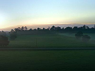 一鹿奔腾 生活跃升