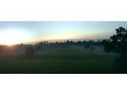 一鹿奔腾 生活跃升