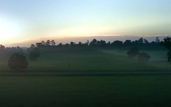 一鹿奔腾 生活跃升