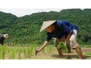 上海司南AG360北斗自动导航产品介绍视频