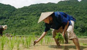 上海司南AG360北斗自动导航产品介绍视频