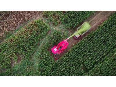 美诺9458PLUS青饲料收获机作业视频