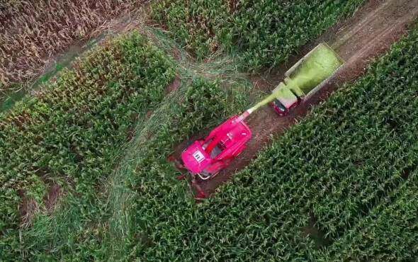 美诺9458PLUS青饲料收获机作业视频