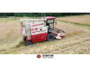 速度与激情,沃得皓龙助力四川德阳小麦抢收,高效清选,颗粒归仓