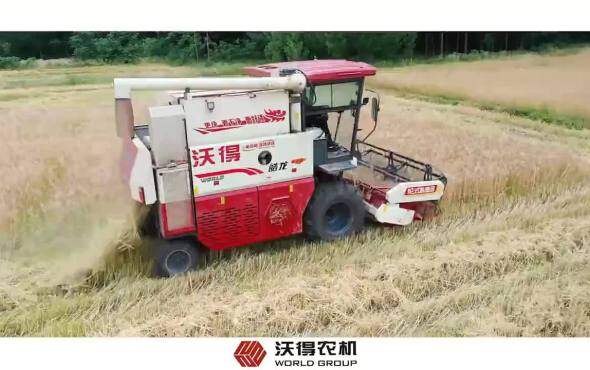 速度与激情,沃得皓龙助力四川德阳小麦抢收,高效清选,颗粒归仓