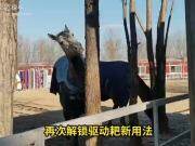 新疆双剑1BQ-2.0驱动耙作业视频