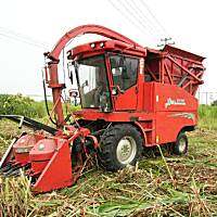 顶呱呱牧童青贮饲料收获机