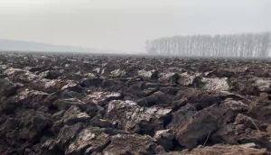 今年的玉米秸秆翻埋作业，凯斯2304表现不错