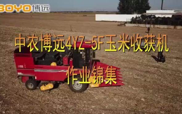 中农博远4YZ-5F玉米收获机作业集锦