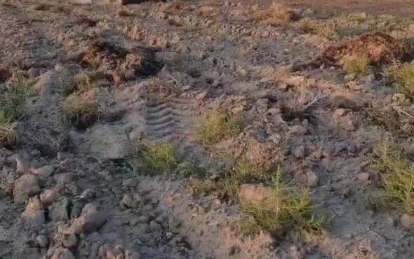 双剑4米驱动耙新疆吉木萨尔作业视频