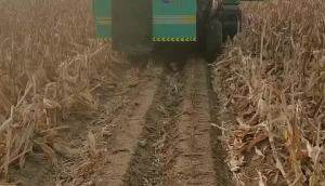 河北久丰9YFQ-1.7方草捆打捆机作业视频