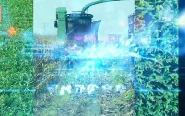 迪马战狼三剑客--割台作业视频