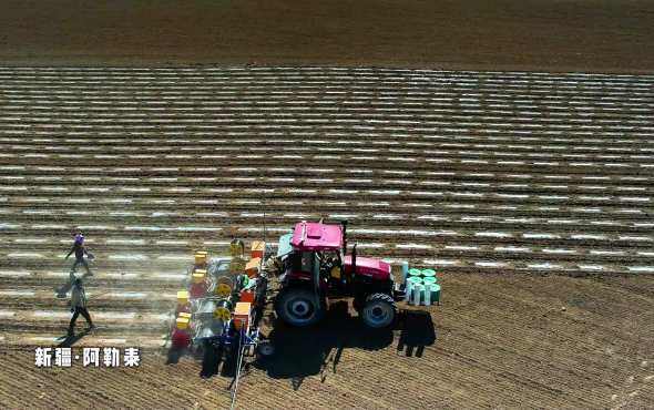 东方红--我的阿勒泰