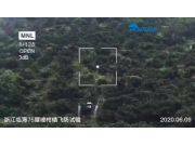 极目植保无人机-经济作物飞防 作业视频