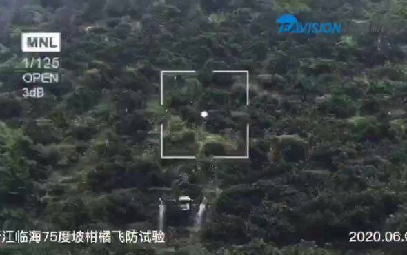 极目植保无人机-经济作物飞防 作业视频