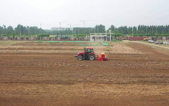 大华宝来驱动耙机械式联合条播机