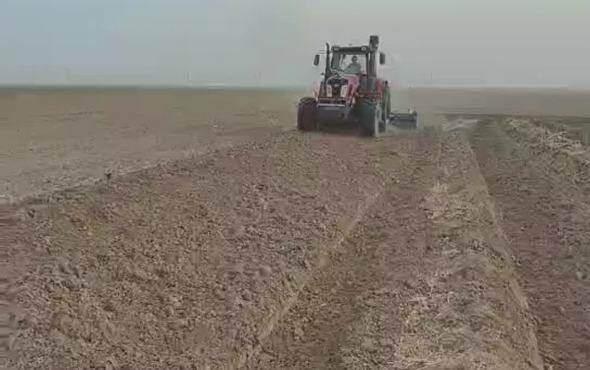 双剑驱动耙内蒙作业视频