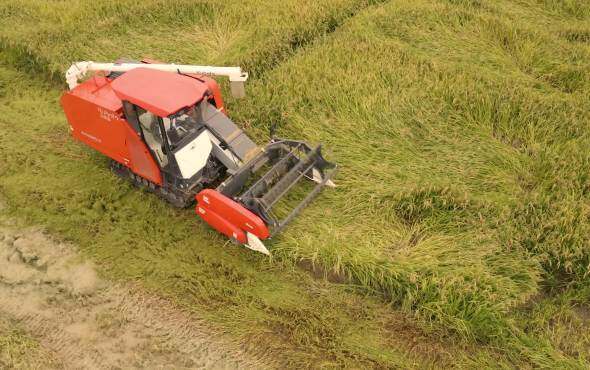 久保田EX118MQ-S全喂入履带式收割机产品介绍视频