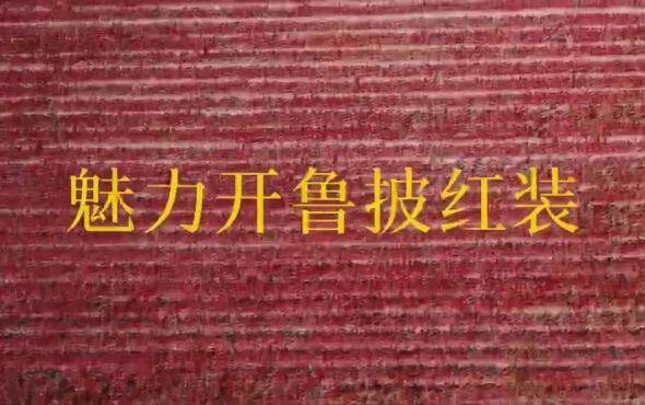 魅力开鲁披红装--吉龙辣椒收获机作业视频