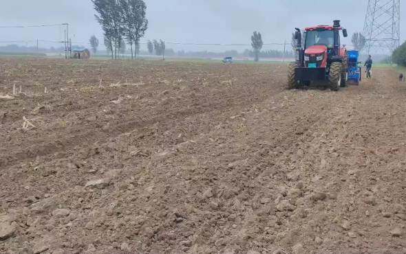 新疆双剑耙播一体机在河北固安调试视频