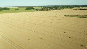 科罗尼BiGPack高密度大方捆捡拾压捆机作业视频