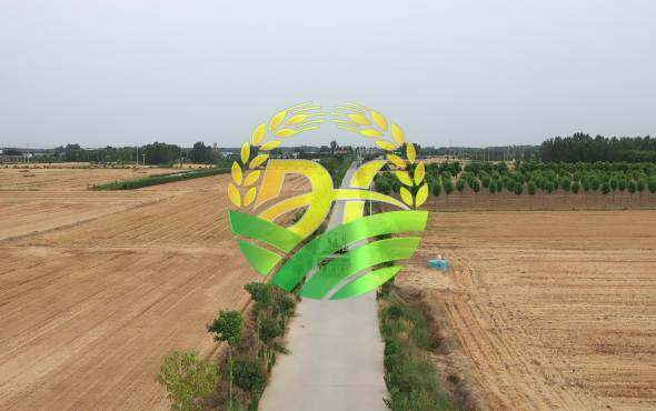 大华宝来玉米清茬免耕施肥播种机作业视频3