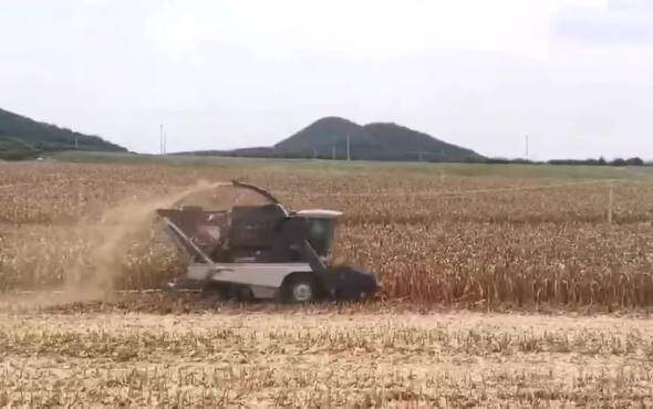 三极科技4YZSJ-4PLUS玉米收获机作业视频