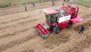 农有王4HJL-2500作业视频