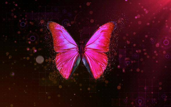 贝克锐斯播种机宣传片