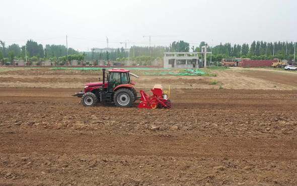 大华宝来驱动耙机械式精量条播机(带出苗)