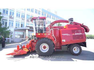 勇猛机械4QZ-360自走式青饲料收获机