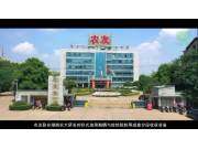 农友油菜分段收获机作业视频