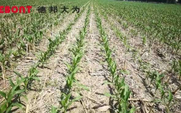 德邦大为免耕播种机中国科学院梨树研发基地连续16年秸秆还田地块