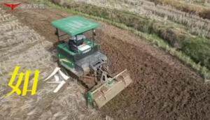 常发CF810轮式收割机作业视频