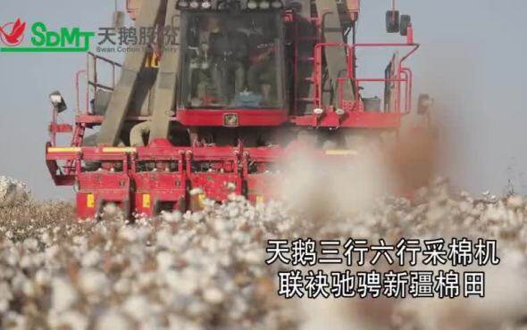 天鹅采棉机助力新疆棉喜获丰收!
