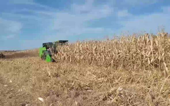 常林派克4YZP-4A作业视频