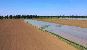 东方红LX1804深松作业视频