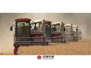 风吹麦浪喜迎丰收,红色闪电驰骋田野,沃得——“感动”常在,“担当”未毕!