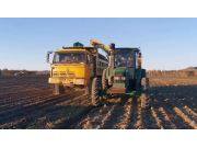 北大荒众荣四行甜菜收获机作业视频